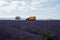 Touristic destination in South of France, colorful lavender and lavandin fields in blossom in July and harvesting on plateau