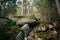 Touristic trail with mountain landscape of rocks in green spring forest in Carphatian