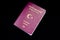 Touristic Turkish passport