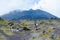 Tourists are ascending to the Pacaya volcano in Guatemala.