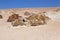 Tourists in the Atacama desert, Chile