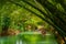 Tourists on bamboo raft rides on Martha Brae River, Jamaica