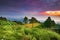 Tourists and Beautiful Flowers of Huay Nam Dung Nation Park in the Twilght Morning , Chiangmai, Thailand