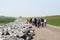 Tourists on bikes over the Sea of the waddensea,with view on the ferry terminal