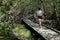 Tourists on Boardwalk Through Frances Bay Bird Santuary on Saint John, USVI