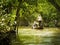 Tourists in a boat in Mekong delta