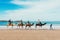 Tourists on camels on the beach. Tourism in Morocco, Algeria, Tunisia. Travel concept