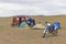 Tourists camping in Mongolian hills. Tents under the open cloudy sky. A motorcycle in the foreground