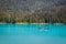 Tourists in canoe on Emerald Lake