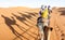 Tourists caravan riding dromedaries through sand dunes in Sahara desert near Merzuga in Morocco - Wanderlust travel concept