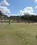 Tourists at ChichenItza Archaeological Complex-Yucatan-Mexico 180