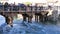 Tourists in the city of Borghetto over a bridge