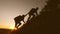 Tourists climb the mountain in sunset, holding hands. male traveler holds out his hand to a female traveler climbing a