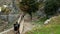 Tourists climb the stairs up the hill to the old fortress