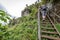 Tourists climbing Mount Elgon run by Uganda Wildlife Authority.