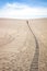 Tourists climbing the sand mountain or the singing sand dunes at Mingsha Shan desert as part of the Silk Road, Dunhuang, Gansu,