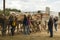 Tourists communicate with camels on the farm