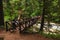 Tourists Crossing Wooden Bridge in Lacamas Park