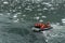 Tourists from the cruise ship in the Garibaldi fjord in the archipelago of Tierra del Fuego.