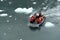 Tourists from the cruise ship in the Garibaldi fjord in the archipelago of Tierra del Fuego.