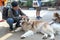 Tourists is cuddling alaska dog in the dog farm