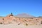 Tourists at a desert of Bolivia