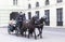 Tourists discover the Vienna Capital by Horseback