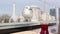 Tourists drinking Turkish tea on an outdoor terrace overlooking the Hagia Sophia and feed a seagull.