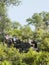 Tourists And Driver In Jeep On Safari