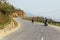 Tourists driving motorcycles on main road with shrub and rocks along the way in summer at Sa Pa, Vietnam