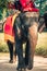 Tourists on an elefant ride around the Park in Ayutthaya,Thaila