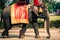 Tourists on an elefant ride around the Park in Ayutthaya,Thaila