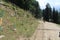 Tourists enjoying a walk in Pahalgam en-route to Baisaran, Kashmir, India