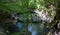 Tourists are exploring hiking roads in forest of Butterfly valley on Rhodes island, Greece