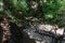 Tourists are exploring hiking roads in forest of Butterfly valley on Rhodes island, Greece