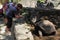 Tourists feed the giant tortoises of the Seychelles on La Digue Island