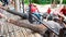 Tourists feeding the elephants with bananas before start the tours