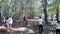 Tourists Feeding Wild Kangaroos @ Morisset Park