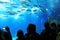 Tourists in front of aquarium with blue water in amazing Oceanario in Lisbon, Portugal