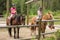 Tourists geared up for a horse ride at a famous park in Wyoming