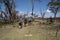 Tourists go on a walking safari on Crescent Island to see wildlife