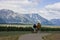 Tourists at The Grand Tetons Wyoming