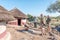 Tourists and guide at reconstructed iron age houses at Masorini