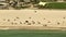 Tourists on Gulf Shores beach Alabama. 4k aerial telephoto video clip