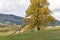 Tourists have a rest in Calvary. Banska Stiavnica, Slovakia.