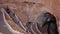 Tourists Hike the Natural Entrance Trail at Carlsbad Caverns Nat