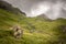 Tourists and hikers ascending and descending The Storr mountain and enjoying the view