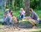 Tourists hikers sit on log relaxing waiting picnic snack. Company having hike picnic nature background. Picnic with