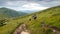 Tourists with hiking backpacks walk along a mountain trail. Background illustrating a healthy lifestyle