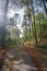 The tourists hiking and climbing to the top of Iztaccihuatl volcanic mountain in Mexico